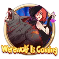 Card 13